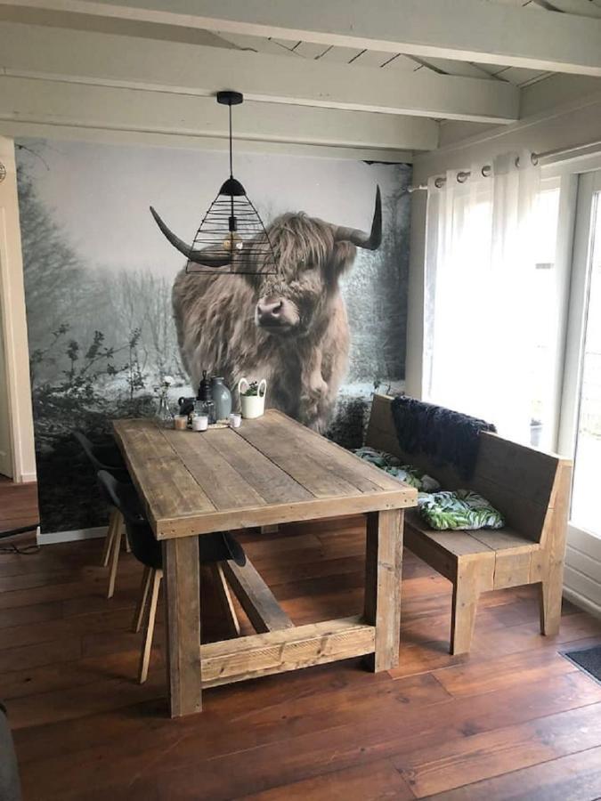 Vakantiehuis Vakantieverhuur Bienvenue Bojil